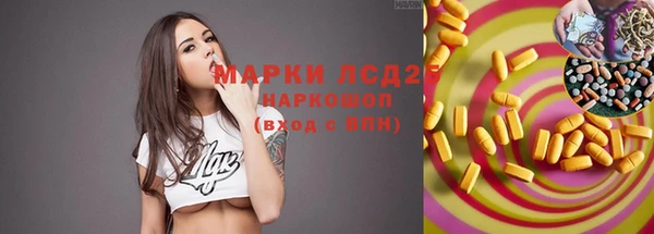эйфоретик Магас