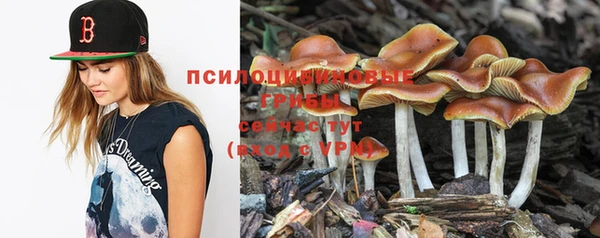мефедрон Медногорск