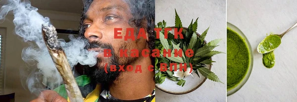 гашик Курчалой