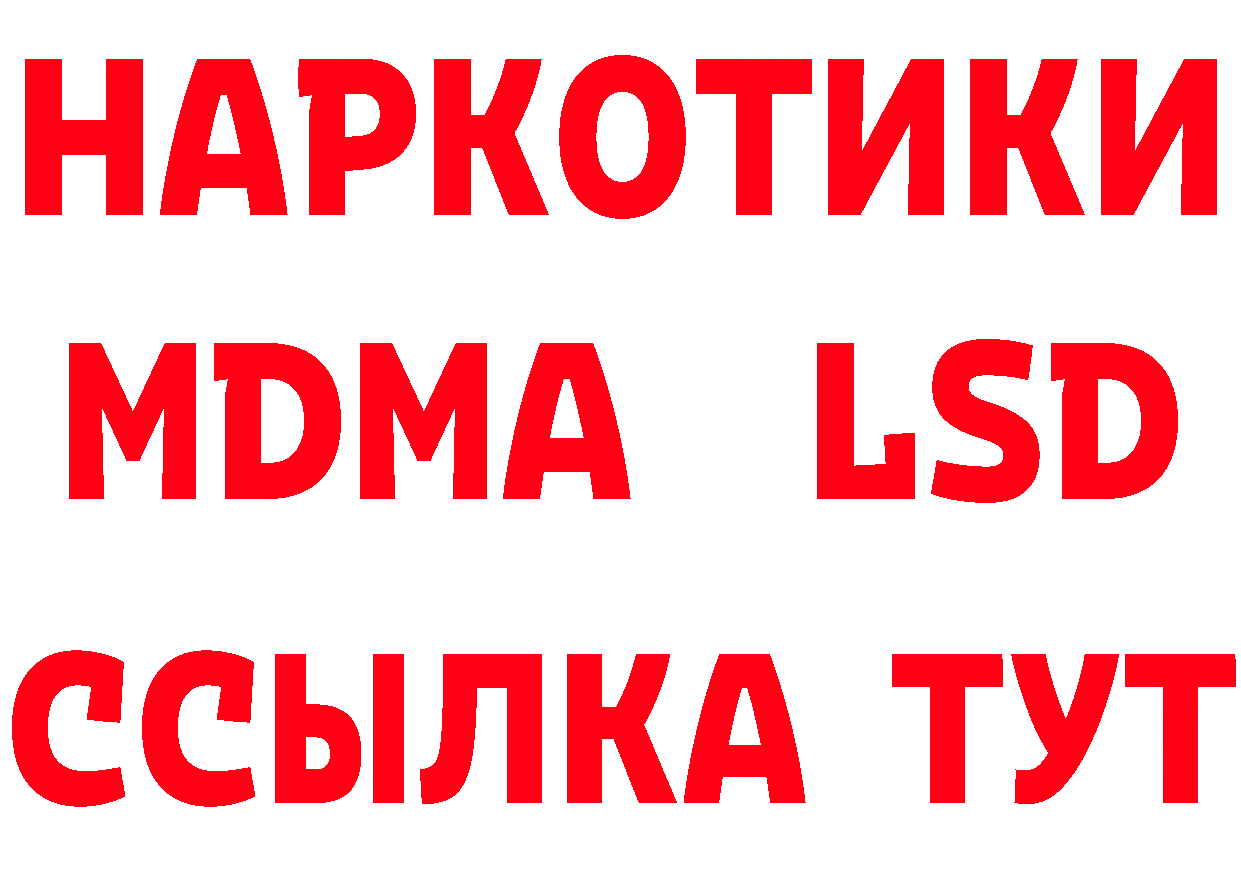 МЕФ 4 MMC ТОР площадка блэк спрут Нововоронеж