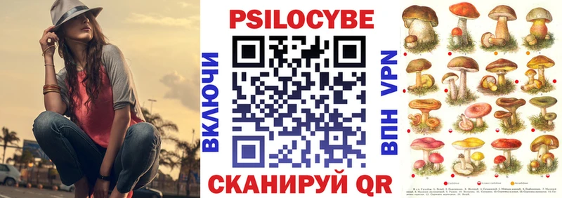 Галлюциногенные грибы Magic Shrooms  закладки  Нововоронеж 