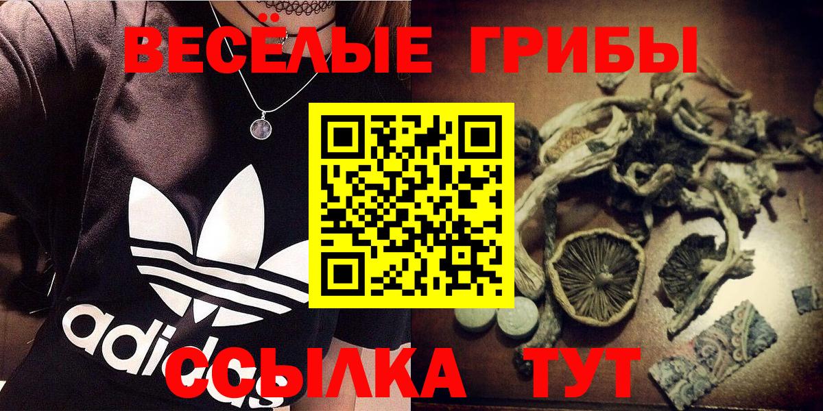 Нововоронеж  Псилоцибиновые грибы Magic Shrooms  Галлюциногенные грибы мухоморы  Вход с VPN 